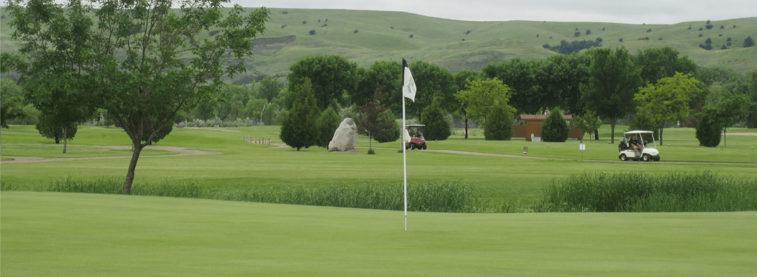 IMAGE OF GOLF COURSE