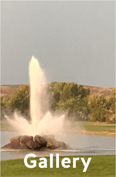 PICTURE GALLERY BUTTON