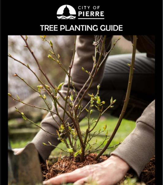 TREE PLANTING GUIDE_BOOK COVER