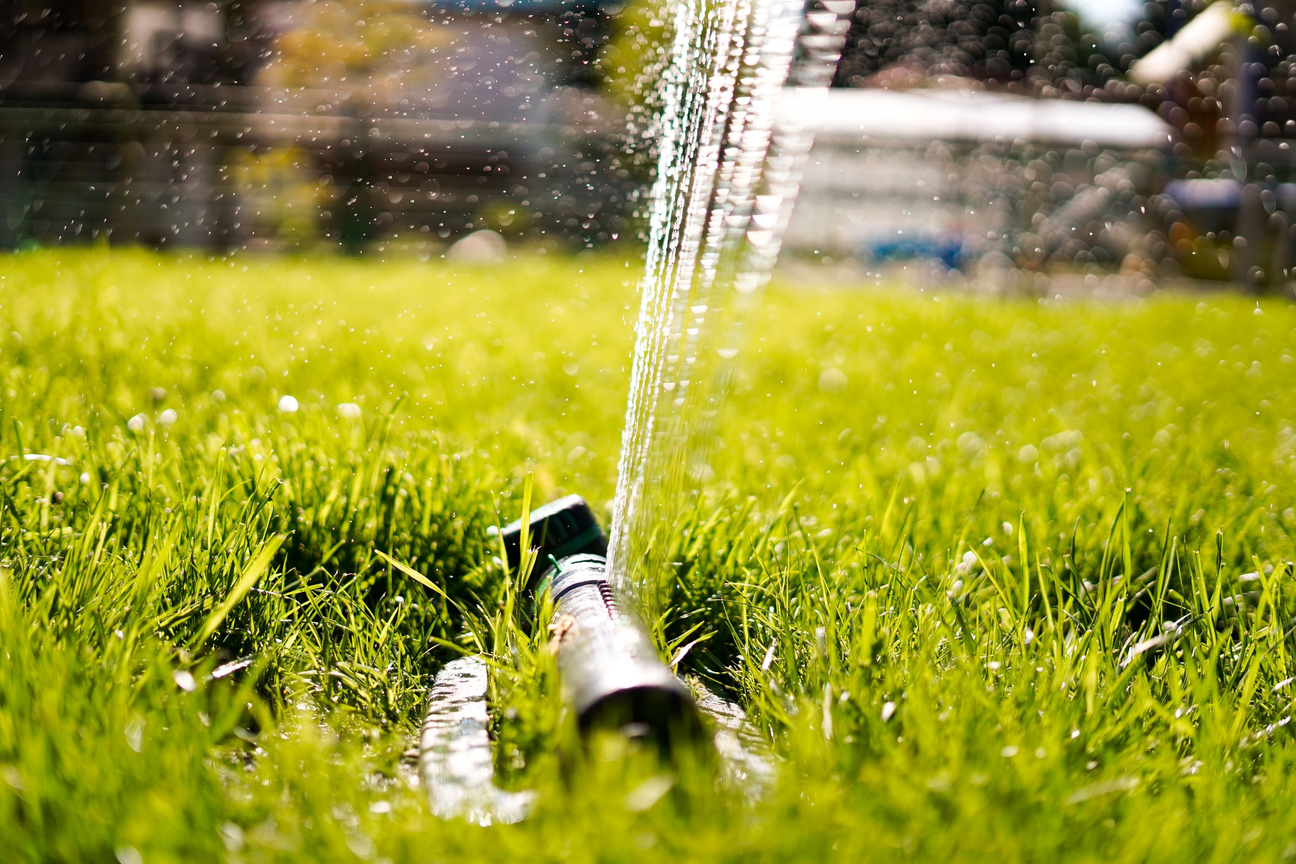 SPRINKLER IN LAWN IMAGE