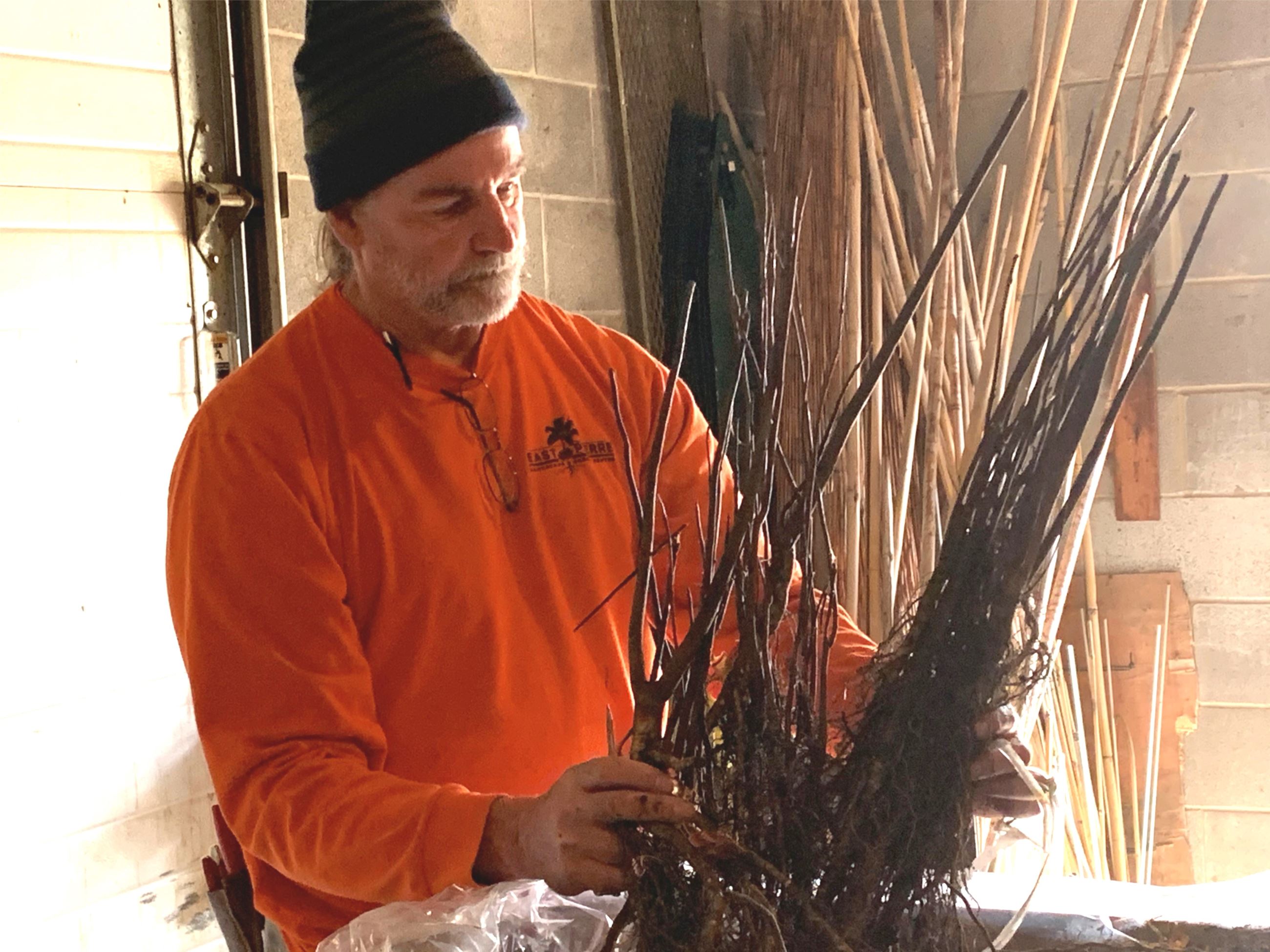 4.27.22_TREE CITY USA_ARBOR DAY